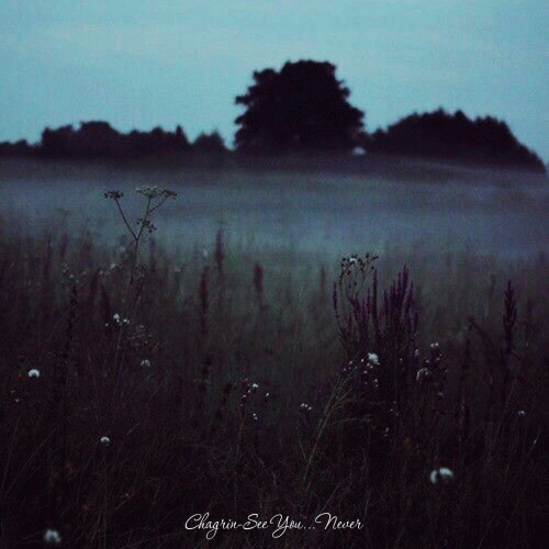 Chagrin (AUS) : See You...Never